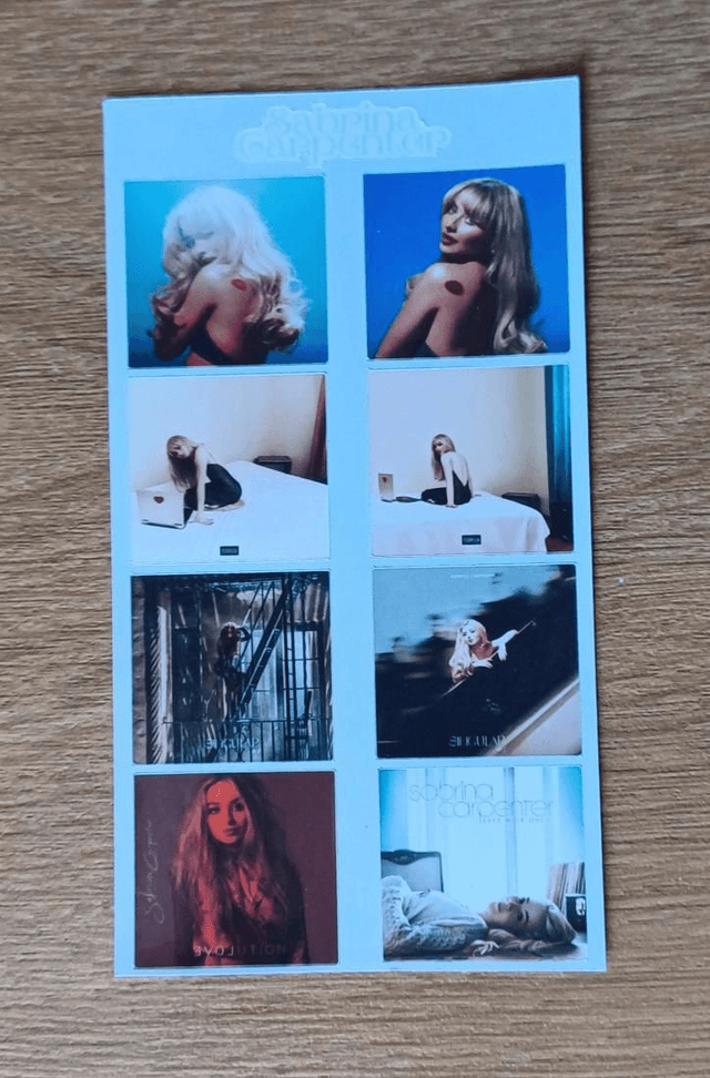 ♡Final Stock♡Sabrina Carpenter Art Bundle