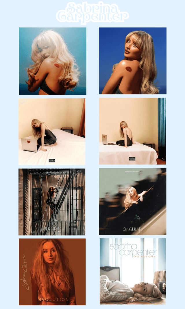 ♡Final Stock♡Sabrina Carpenter Albums Sticker Sheet